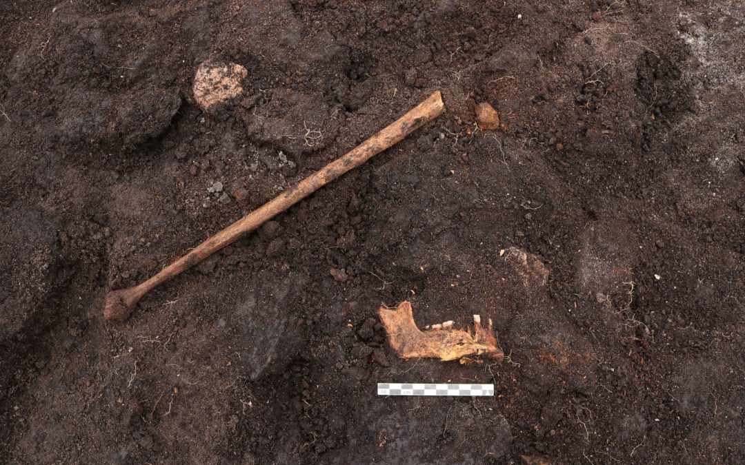 Nærkontakt på tværs af årtusinder: Moselig dukkede op under udgravning i Egedal